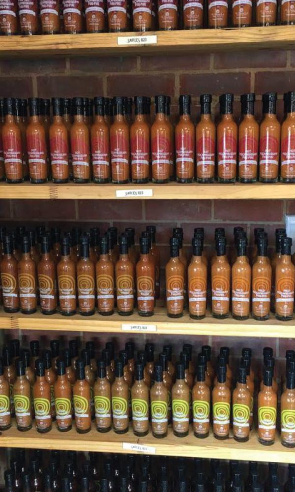 The Flavour Lab - Sauces